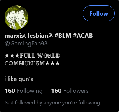 Part /5 Marxist-Lesbians, Homosexuality, Anarchy, Communist, Carnation Symbolism, Hanner&Sickle, ACAB, "When our time Comes we will make no excuses for the terror", "I like guns" ? These two are related - Lesbian couple