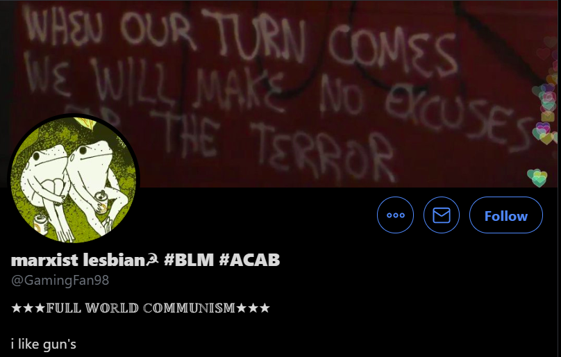 Part /5 Marxist-Lesbians, Homosexuality, Anarchy, Communist, Carnation Symbolism, Hanner&Sickle, ACAB, "When our time Comes we will make no excuses for the terror", "I like guns" ? These two are related - Lesbian couple
