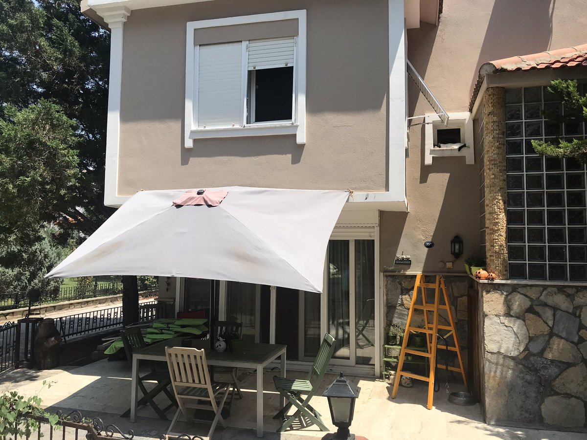 1.5 saat Sushi’yi aradım. Keyif yapıyormuş.....