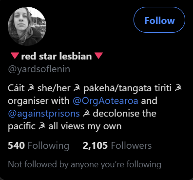 Part /6 Communist, Hammer&Sickle, Carnation Symbolism, ACAB, Lesbian/Homosexuality (Always connected to communism)