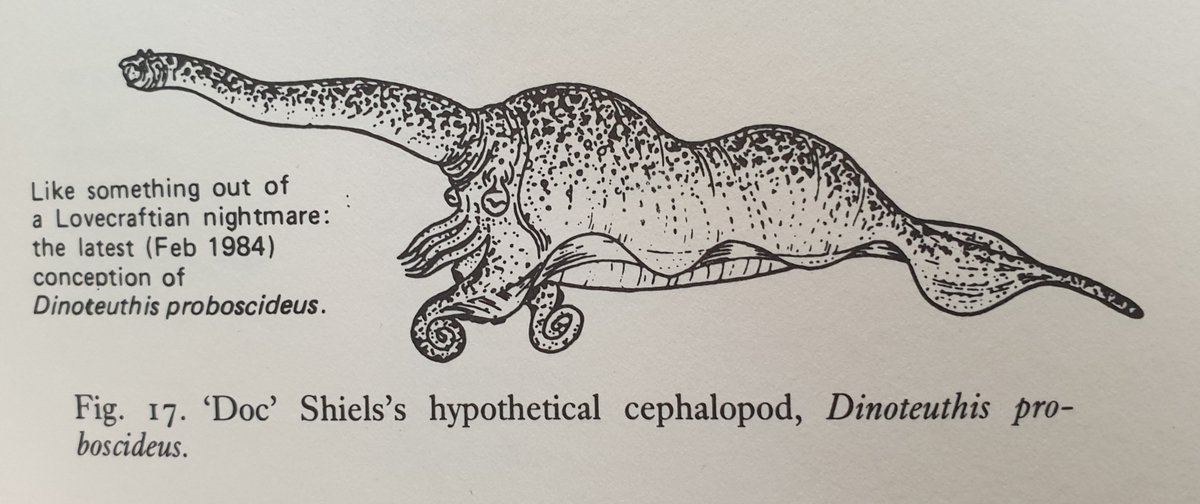 In 1984 in Fortean Times, Shiels proposed that Dinoteuthis had inflatable humps on its back, an ability to change colour, and the ability to crawl on land (this explaining the land sightings of the  #LochNessMonster). Remember the white blob? This as part of the squid’s eye!