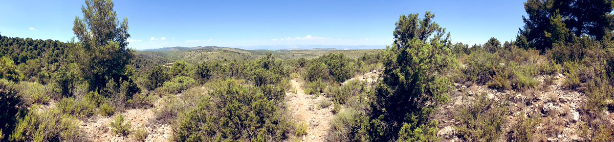 marceladelap's tweet photo. Paseos matutinos, ojalá los #incendios este verano no lleguen a ser noticia y que los piromanos se confinen de por vida. #sierradelsegura #noincendios 🌲🌳🌲🌳 https://t.co/TfXri2VESr