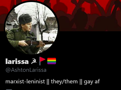 Part /8 Marxist-Leninist, 'Gay AF' (Homosexual), Hammer&Sickle, Xenophile (lover of foreigners), Anti-Racist (Anti-White), BLM, Carnation Symbolism, Anarchist Black Flag, LGBT Flag
