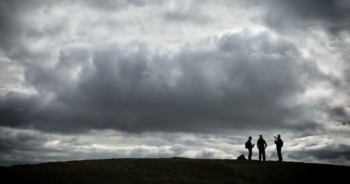 ImagesWithStories tweet media