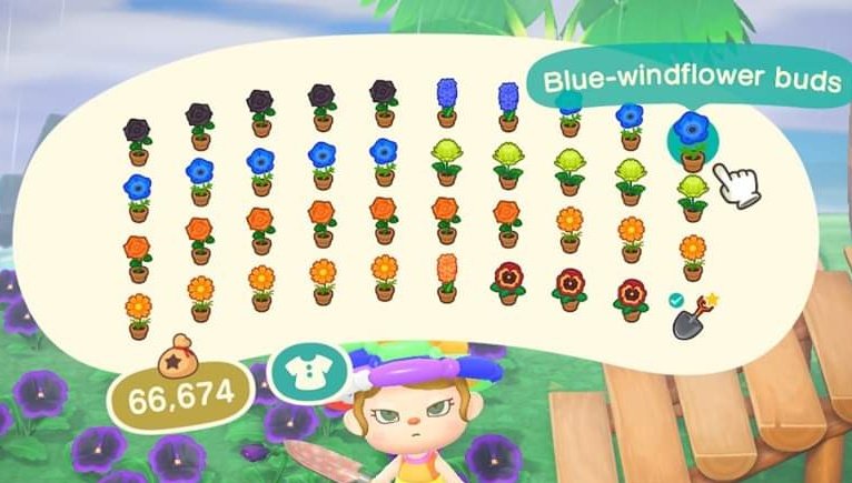 thepodston's tweet photo. Hi, sorry about the grumpy face 🤣.
Selling this whole pocket of hybrid flowers for 5 nmt or gulliver /mom items. Open to offers.

#AnimalCrossingNewHorizons #ACNH #acnhtrades #dodocode https://t.co/SucKL8pSDe