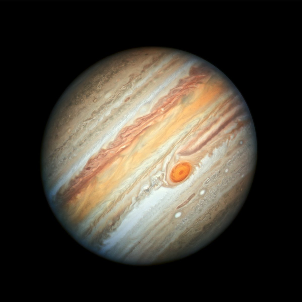 MarGomezH's tweet photo. Un astrónomo aficionado en Sudáfrica ha detectado una nueva mancha en la superficie de Júpiter y el satélite Juno de la NASA lo confirma. Su aparición no fue captada unas horas antes por astrónomos australianos y apareció más tarde. https://t.co/UlUHSY9PlN