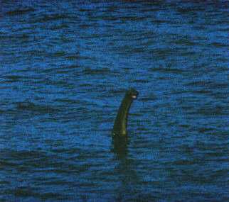 And I think that we might apply a similar explanation to Shiels’s 1977  #Nessie photo. It's some sort of art project, designed to evoke response in the media and among the public, and put out there to invoke wonder, be fun, and deliberately be controversial and perhaps unnerving.