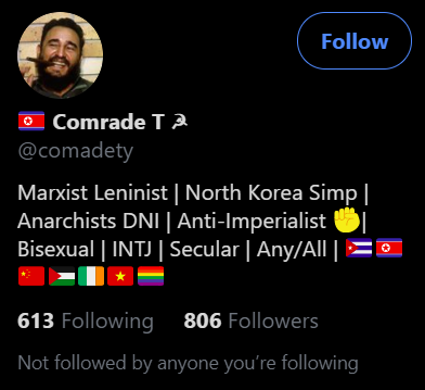 Part /9 Marxist-Leninist, Communist, Hammer&Sickle, Anarchist, Bi-Sexual, LGBT Flag, Gender Pronouns (Homosexuality), Simping for Communist Authoritarian Regimes while supporting Anarchism. Mr Comrade is right about voting tho.