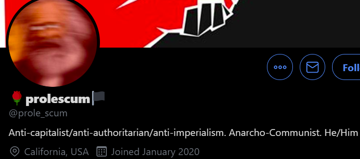 Part /9 Marxist-Leninist, Communist, Hammer&Sickle, Anarchist, Bi-Sexual, LGBT Flag, Gender Pronouns (Homosexuality), Simping for Communist Authoritarian Regimes while supporting Anarchism. Mr Comrade is right about voting tho.