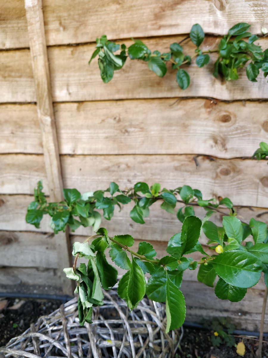 Rachel Baxter tweet media