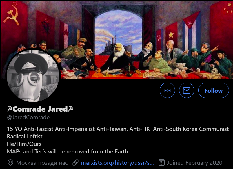 Part 10/ Marxist-Leninist, Maoist, AntiFa, Anti-Taiwan, Anti-HongKong, Self Described Radical Left, Gender Pronouns (Homosexual), Hammer&Sickle, Praise for Chinese CCPThe one is 15 year old indoctrinated by his teachers no doubt.