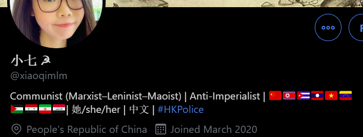 Part 10/ Marxist-Leninist, Maoist, AntiFa, Anti-Taiwan, Anti-HongKong, Self Described Radical Left, Gender Pronouns (Homosexual), Hammer&Sickle, Praise for Chinese CCPThe one is 15 year old indoctrinated by his teachers no doubt.