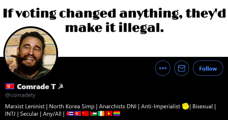 Part /9 Marxist-Leninist, Communist, Hammer&Sickle, Anarchist, Bi-Sexual, LGBT Flag, Gender Pronouns (Homosexuality), Simping for Communist Authoritarian Regimes while supporting Anarchism. Mr Comrade is right about voting tho.