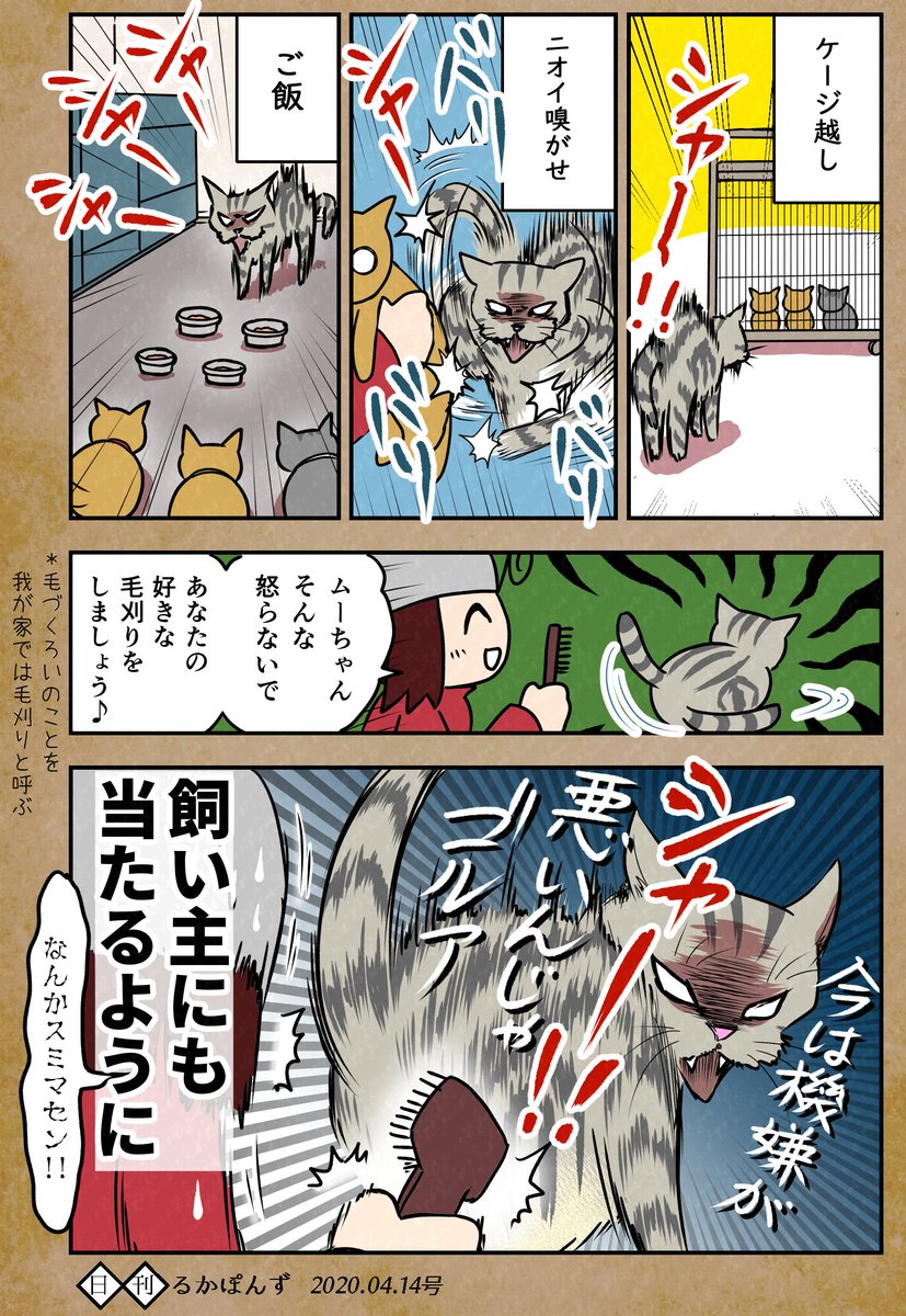 【猫マンガ】子猫を保護したら先住猫が鬼を化した話、まとめ①(1/2)

#保護猫3兄妹 #猫漫画 #猫のいる暮らし 