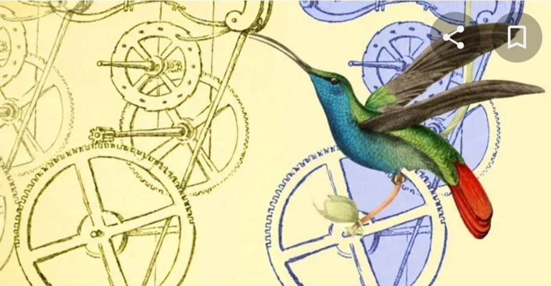 Ready for a Weekend long-read about Humming bird effect? Warning - This is really a very long thread that you might actually call it a yarn. (1/35)