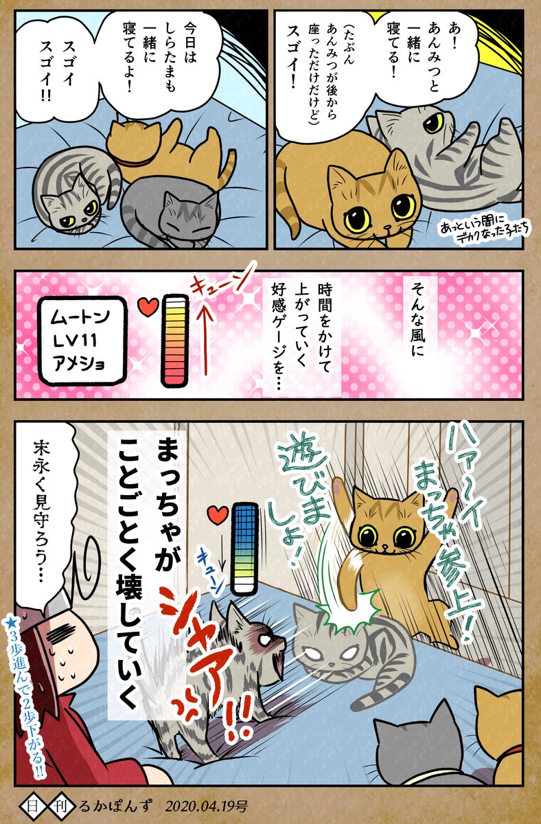 るかぽん 奇数日猫マンガ 偶数日その他漫画 Vtuberもはじめたよ 猫マンガ 子猫を保護したら先住猫が鬼を化した話 まとめ 2 2 保護猫３兄妹 猫漫画 猫のいる暮らし