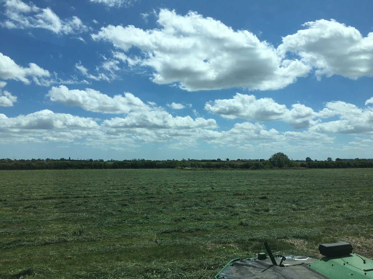 farmerbilly1's tweet photo. Two down, three to go #alwaysonasunday #bleedgreen #johndeere #qualitytunes #suffolkskies https://t.co/bjg118Hs5J
