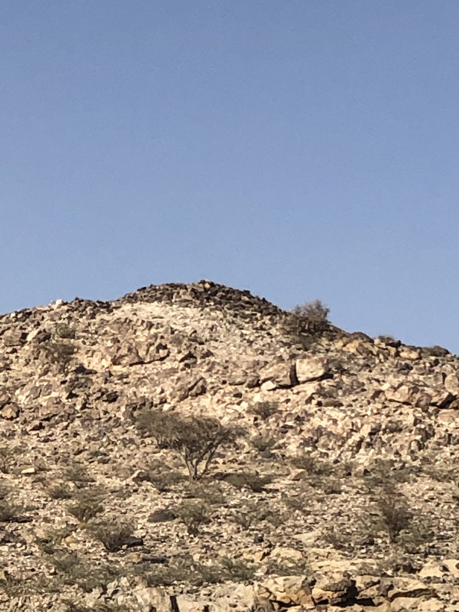 وقفات مع ارجوزة الرداعي(٦)
٤-ناهية وهو وادي يصب في وادي ضراء وياتي من جبال الغراب
ذكرها الحربي في كتابة المناسك وقال ناجية وهو تصحيف ناهية واخطأ في تحديدها وذكرها بين صفن واوقح 
كما ذكرها سليمان شفيق باشا في مذكراته وقال ناحبه وفيها بئران وحفاير 
واعتقد ان ناهية كانت متعشى الحجاج