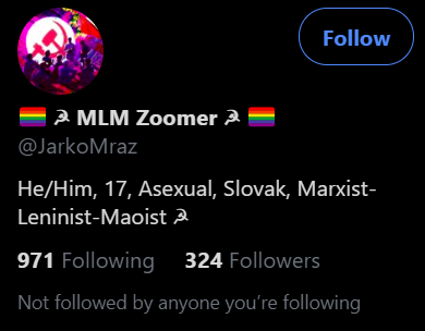 Part 13/ The student and the teacher... Left: University Professor, Anti-Racist (Anti-White), LGBT Flag, and dual Femininity- the absence of menRight: Zoomer (Young teenager), Marxist-Leninist, Pronouns, LGBT Flags, Hammer&Sickle (Look what the Marxist professor do to our kids)