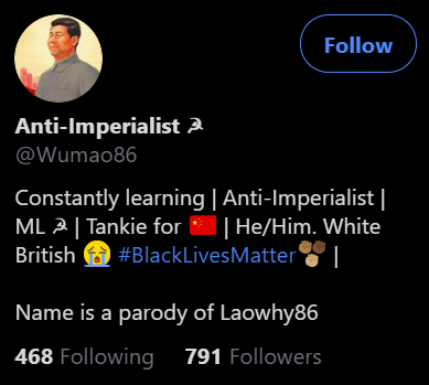 Part 12/ Left: Marxist Leninists, Tankie for CCP, Pronouns (Homosexual, Self Hating about being White British Male, Supports BLMRight: Hammer&Sickle, Misandrist (Hater of Men), ACAB (Hater of Cops), Prounouns and Dyke (Homosexual)