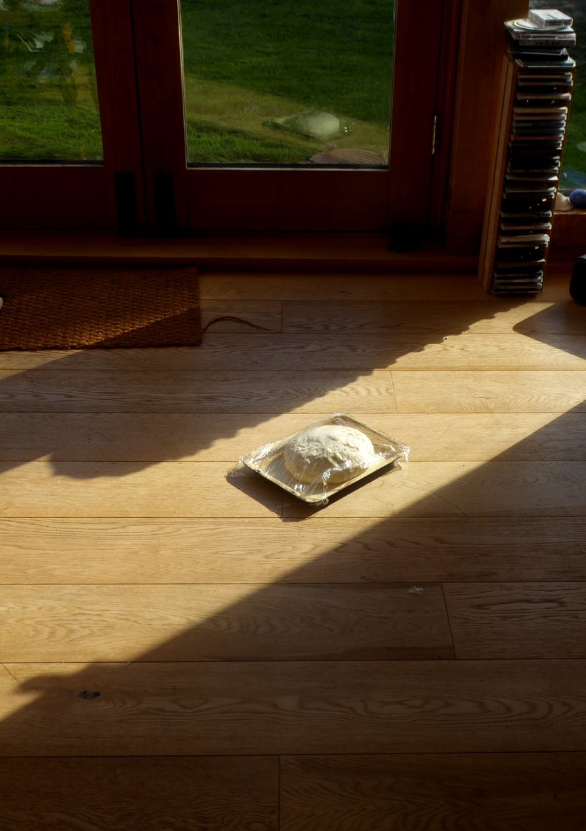 Beautiful shafts of light in the studio. Also useful for proving bread😀