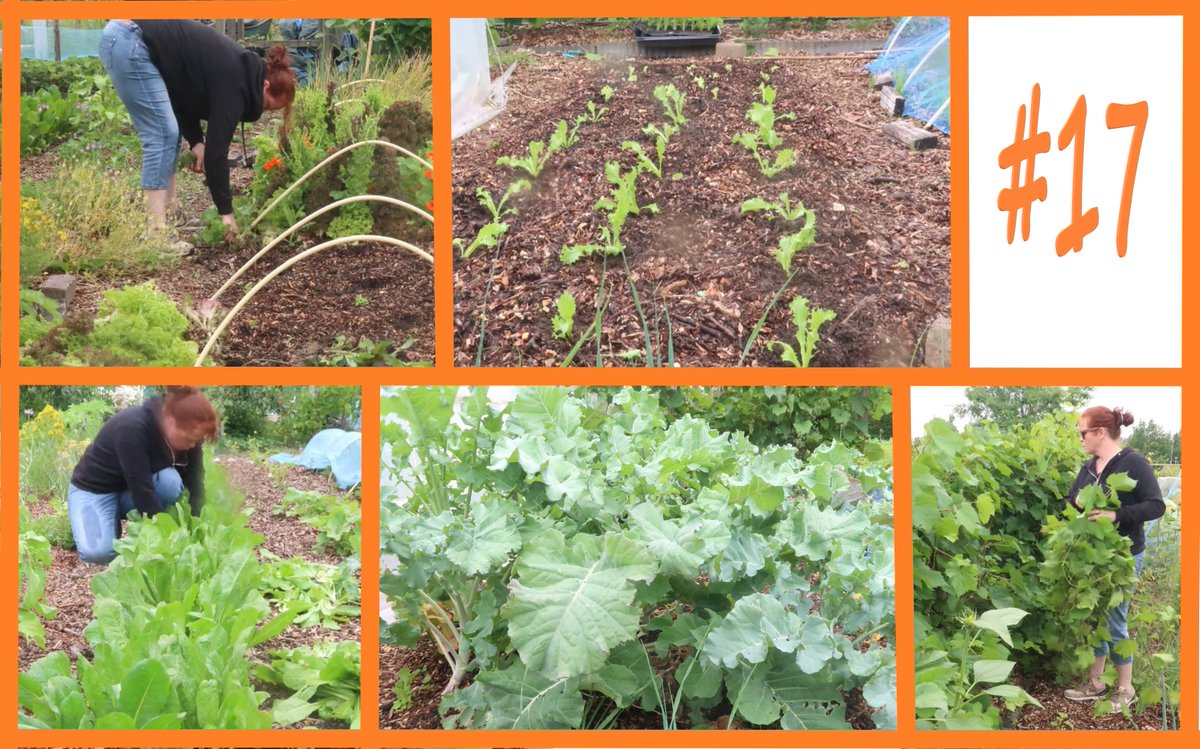 youtube.com/watch?v=ke_KIj…