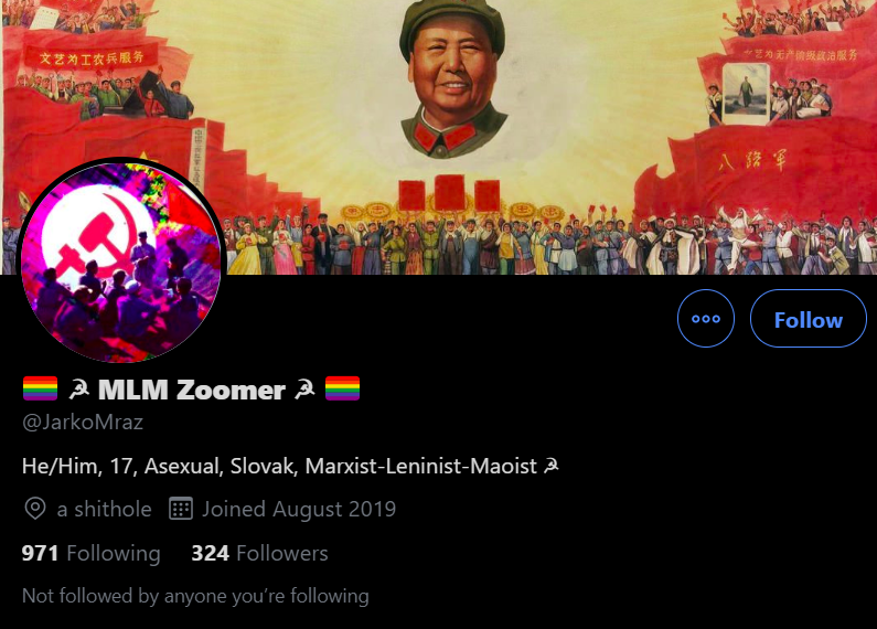 Part 13/ The student and the teacher... Left: University Professor, Anti-Racist (Anti-White), LGBT Flag, and dual Femininity- the absence of menRight: Zoomer (Young teenager), Marxist-Leninist, Pronouns, LGBT Flags, Hammer&Sickle (Look what the Marxist professor do to our kids)