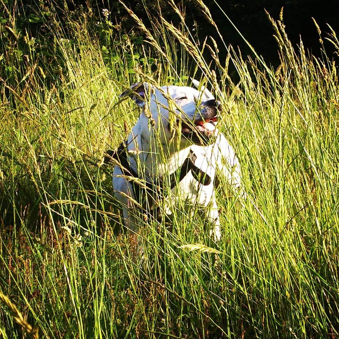 𝙆𝙚𝙡𝙡𝙮 𝙅 𝙎𝙖𝙣𝙙𝙮 🌈 tweet media