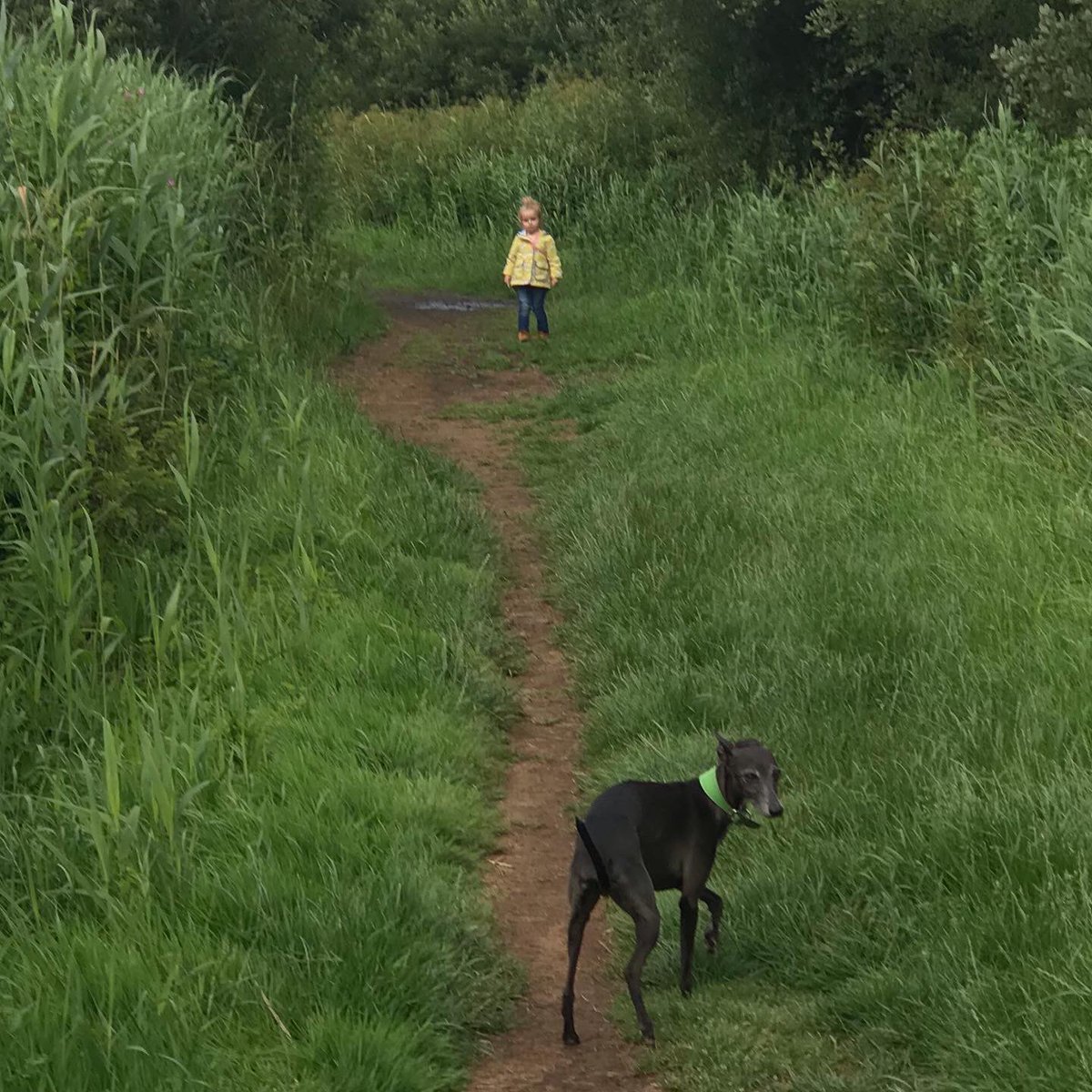 ColinDeDog's tweet photo. I’m still here, just tend to use Instagram more as it’s a photo app 👍  
https://t.co/aWjSX1oN0F https://t.co/vFGbBPZ1sk