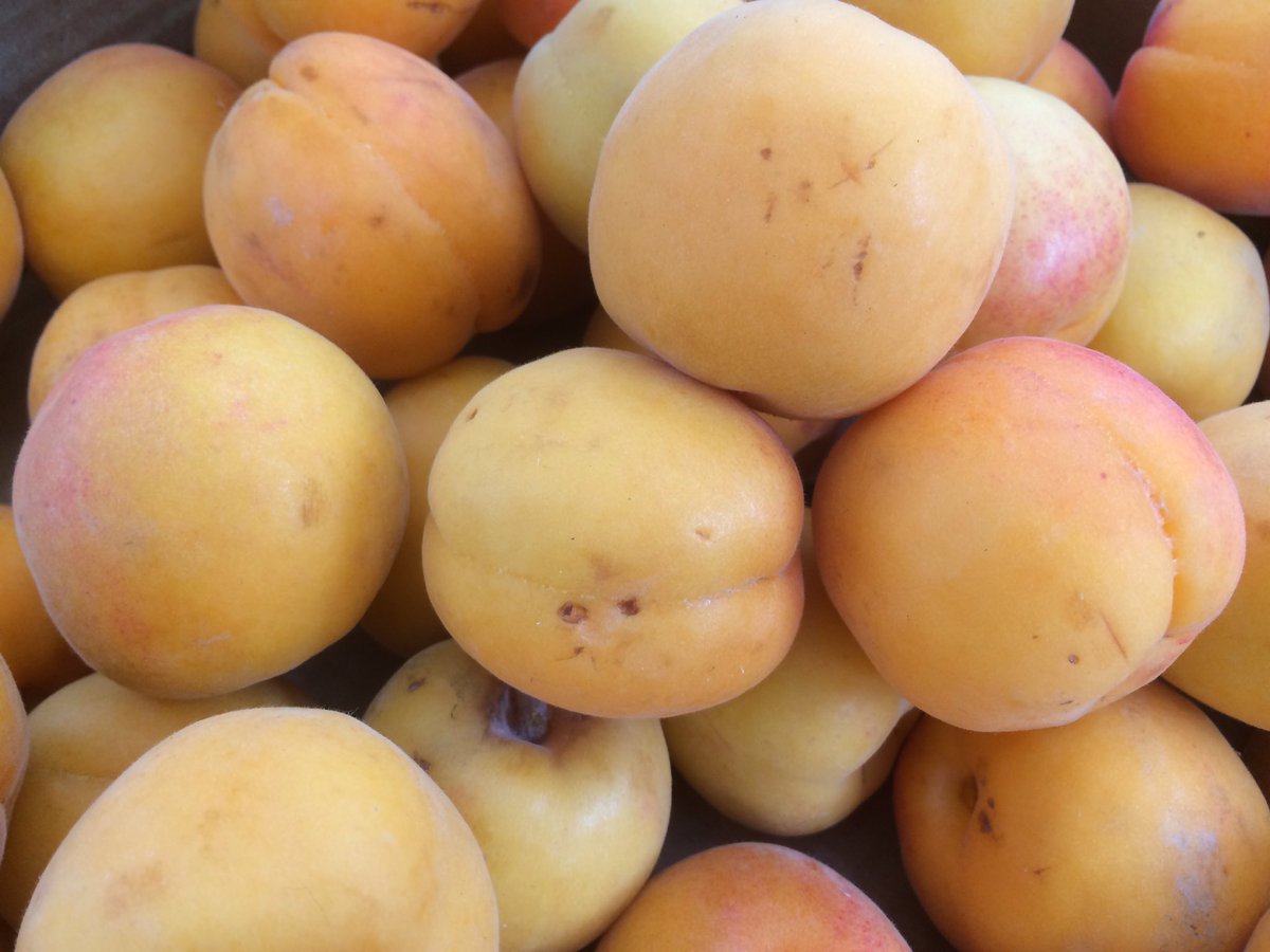 KernanFarms's tweet photo. Heat makes them sweet! Our #TreeRipened Peaches at Sunday's #UWS Columbus/81st & #Bensonhurst (18th Ave/82nd St) Greenmarkets. #buylocal https://t.co/jY3Y36c1Hd