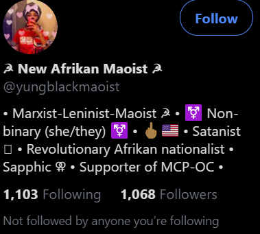 Part 14/ Left: Marxist-Leninist, Maoist, Communism, Hammer&Sickle, Non-Binary (Homosexual, "Fuck USA", Satantist, 'African Revolutionary, African Nationalist, Dual femininity.Right: Revolutionary Leftism, Hammer&Sickle, Vegan (Homosexual-Profile picture, harts...)