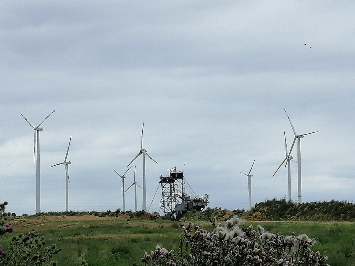 Kathrin Henneberger tweet media