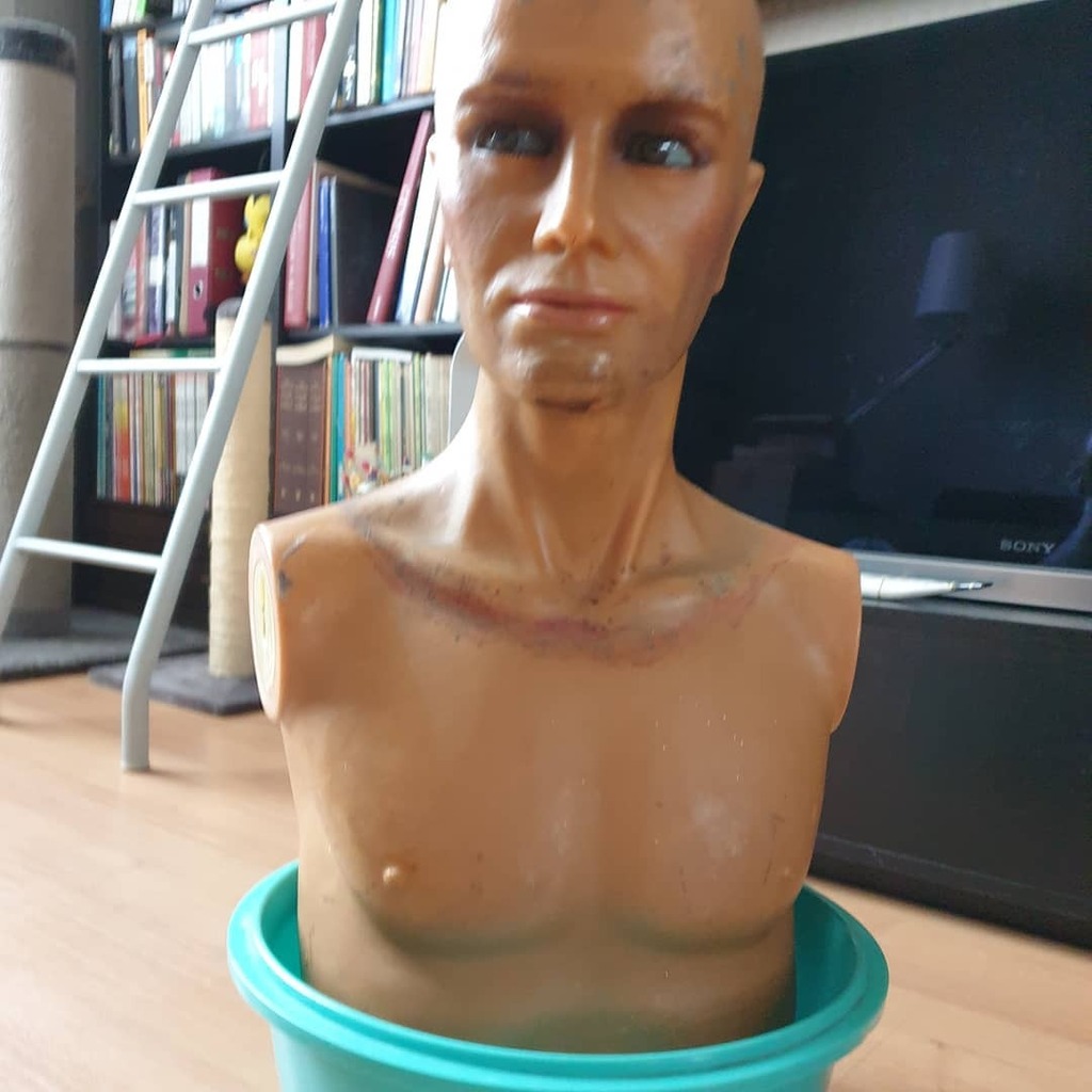 Sunday shenanigans instagr.am/p/CCQdN8GgmdN/