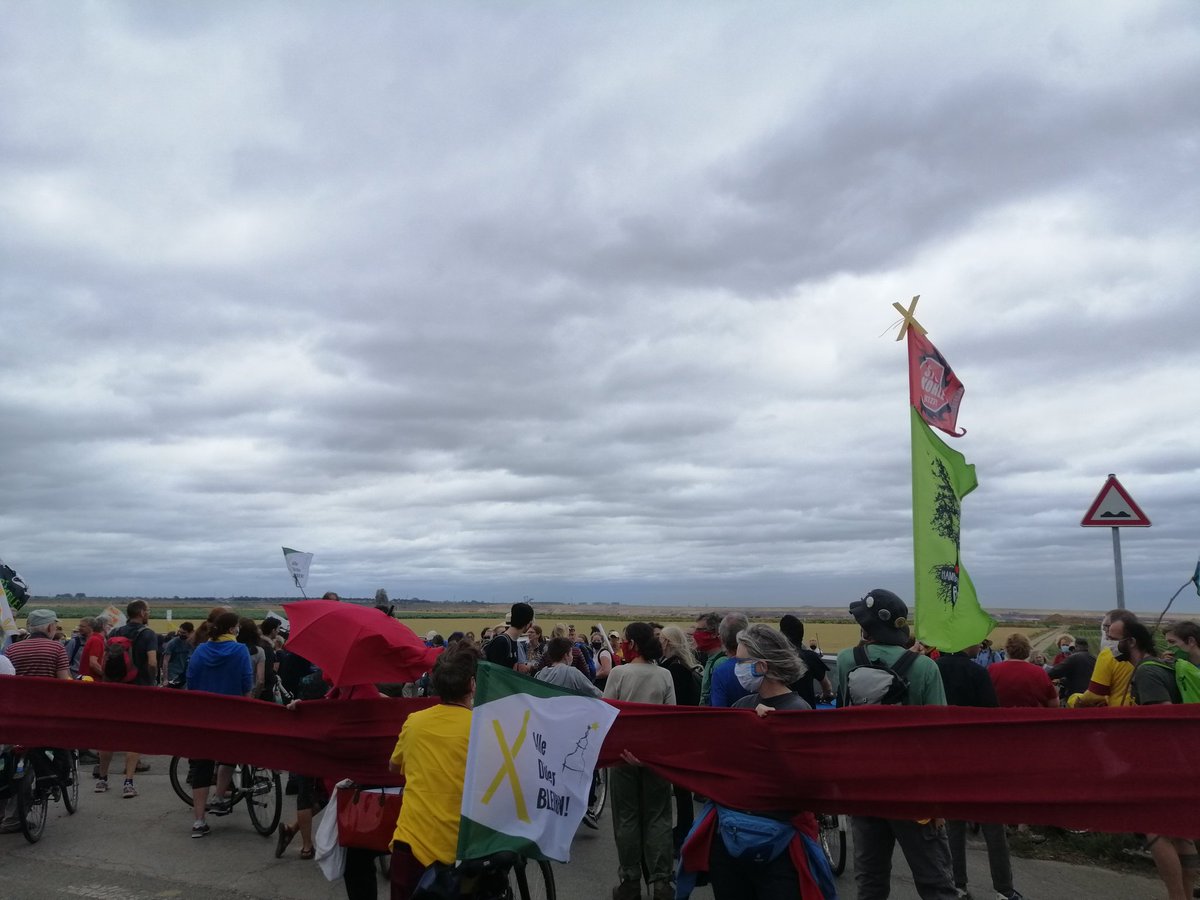 Kathrin Henneberger tweet media