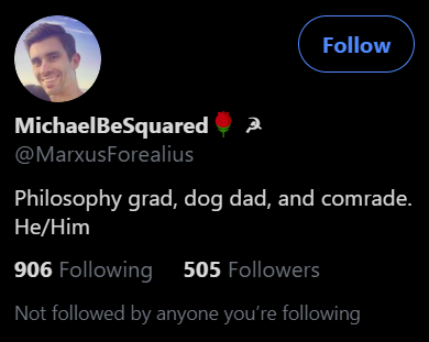 Part 15/ Left: Communist, Carnation Symbolism, LGBT Flag, Queer Leftist (Homosexual), ACAB (Hates Police)Right: Communist, Hammer&Sickle, Carnation Symbolism, Gender Pronounds (Homosexual)