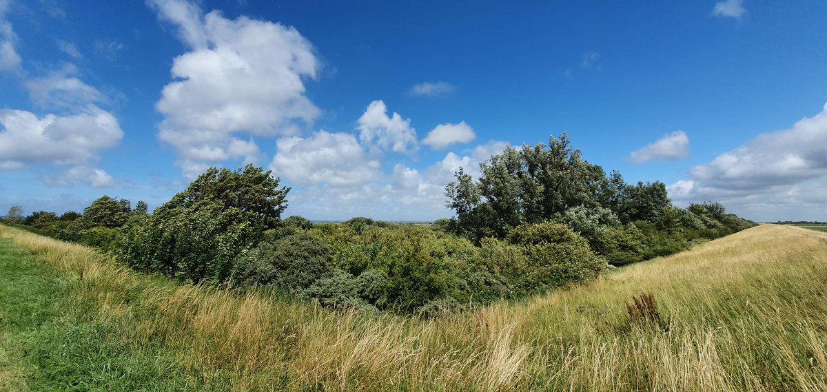 Havenlust's tweet photo. 🕊️❤️ https://t.co/5B89WJl542