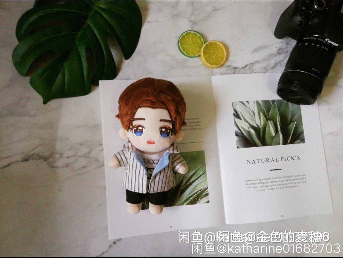 NinePercent_buy's tweet photo. 【PREORDER】Wang ZiYi 王子异 20CM doll
#NinePercent #RULEBREAKER #创新者 #公告牌 
 DM to order/enquire https://t.co/UjWWVle3I5