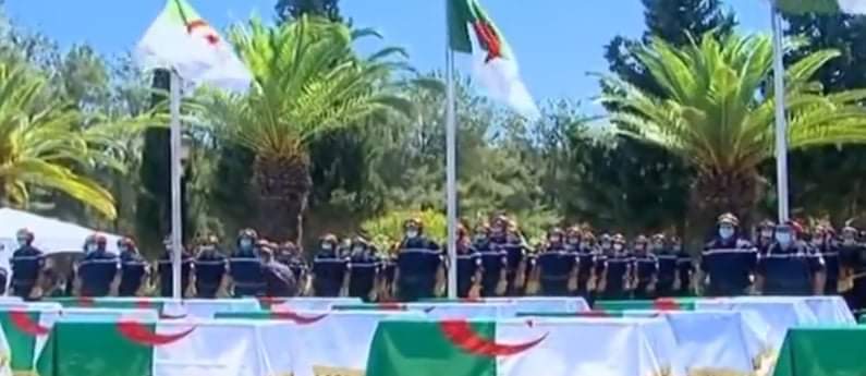 Protection Civile_dz الحماية المدنية الجزائر tweet media