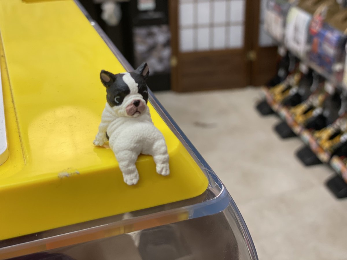 たまには疲れたら休んでもええんやで( ´-ω-)

#モデル #Gopro #カメラ #summer #いいね返し #東京 #大阪 #神社 #パワースポット #晴れの日 #夜景 #Japan #TOKYO #旅行 #Love #Life #Happy #follow #今日 #Beautiful #art #カメラ女子 #プロ #youtube #youtuber #tiktok #twitter #Ilife