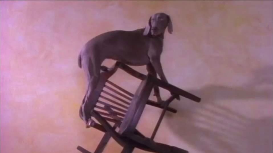 "How do Weimaraners Feel?: Post-Modernism and New Order's 'Blue Monday 88'"