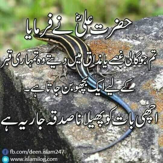 Meri Shaba hajerat Ali raje allha anho ka fareman ha