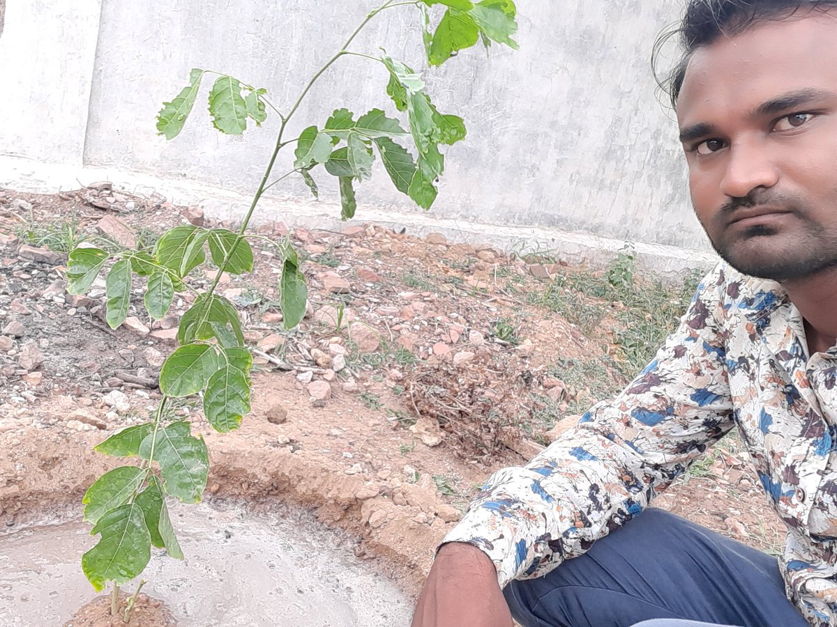 DmMorbi's tweet photo. CSC Gujrat Divas
Me and My Friends Plantation Tree in My Village ....Total 25 Tree Planet.
#CSCGujratDivas
@CSCGujarat https://t.co/Qcy12vg59O