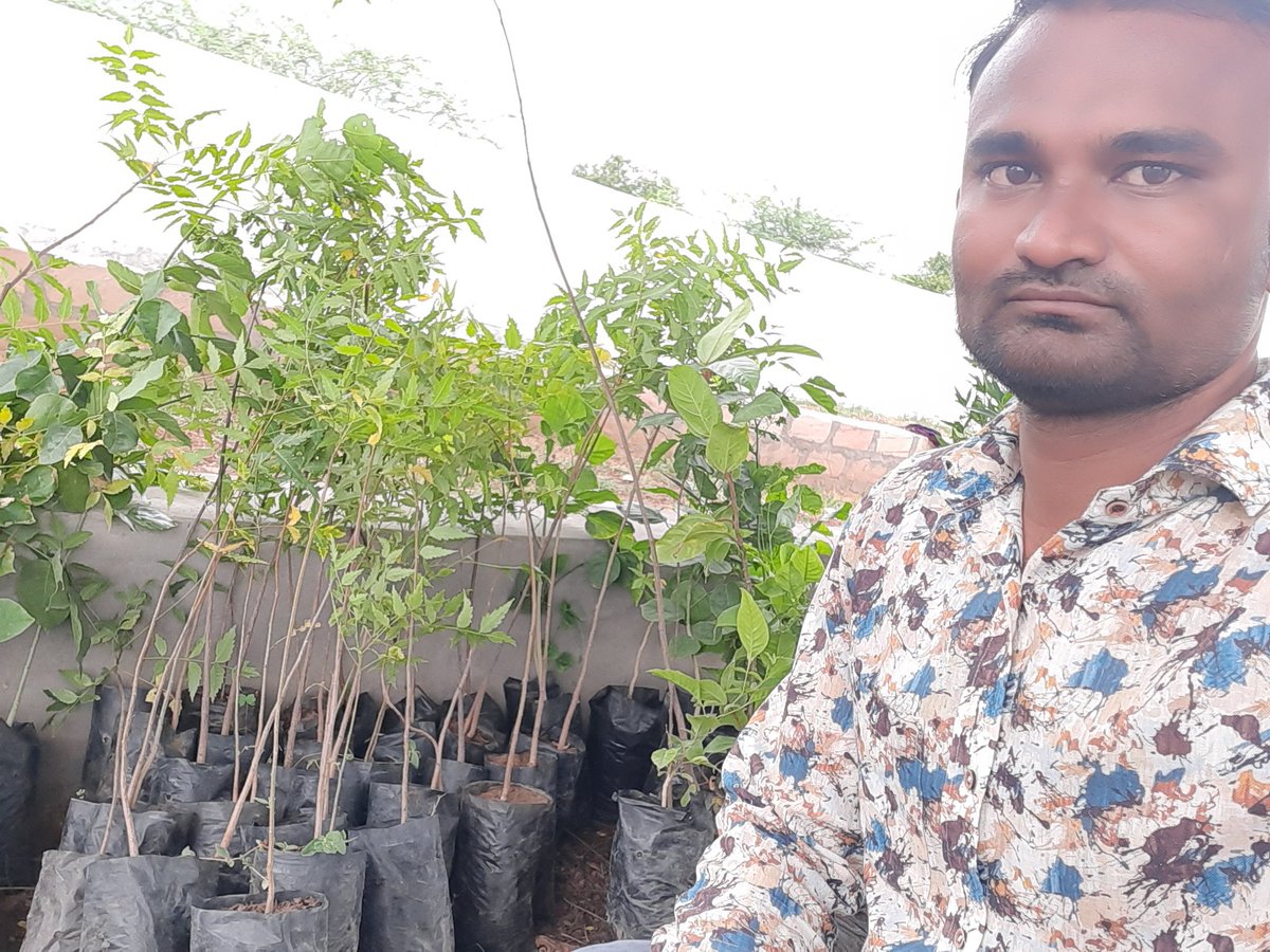 DmMorbi's tweet photo. CSC Gujrat Divas
Me and My Friends Plantation Tree in My Village ....Total 25 Tree Planet.
#CSCGujratDivas
@CSCGujarat https://t.co/Qcy12vg59O