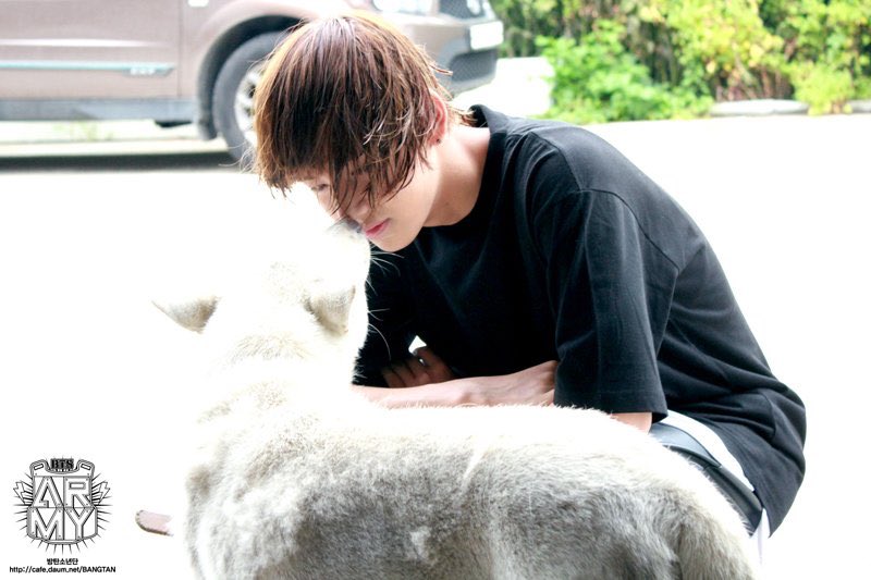 MIYO16408693's tweet photo. 髪型を気にする余り人間の目から逃れ犬に目で語りかけるテヒョンちゃん可愛すぎて追いかけ回したい https://t.co/dqa01SASA9