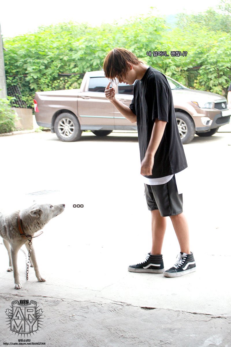 MIYO16408693's tweet photo. 髪型を気にする余り人間の目から逃れ犬に目で語りかけるテヒョンちゃん可愛すぎて追いかけ回したい https://t.co/dqa01SASA9