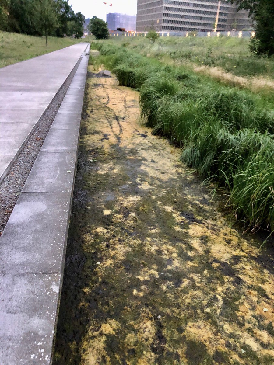 🏘#NeueHeimatMitte🏘 - NachbarnInitiative tweet media