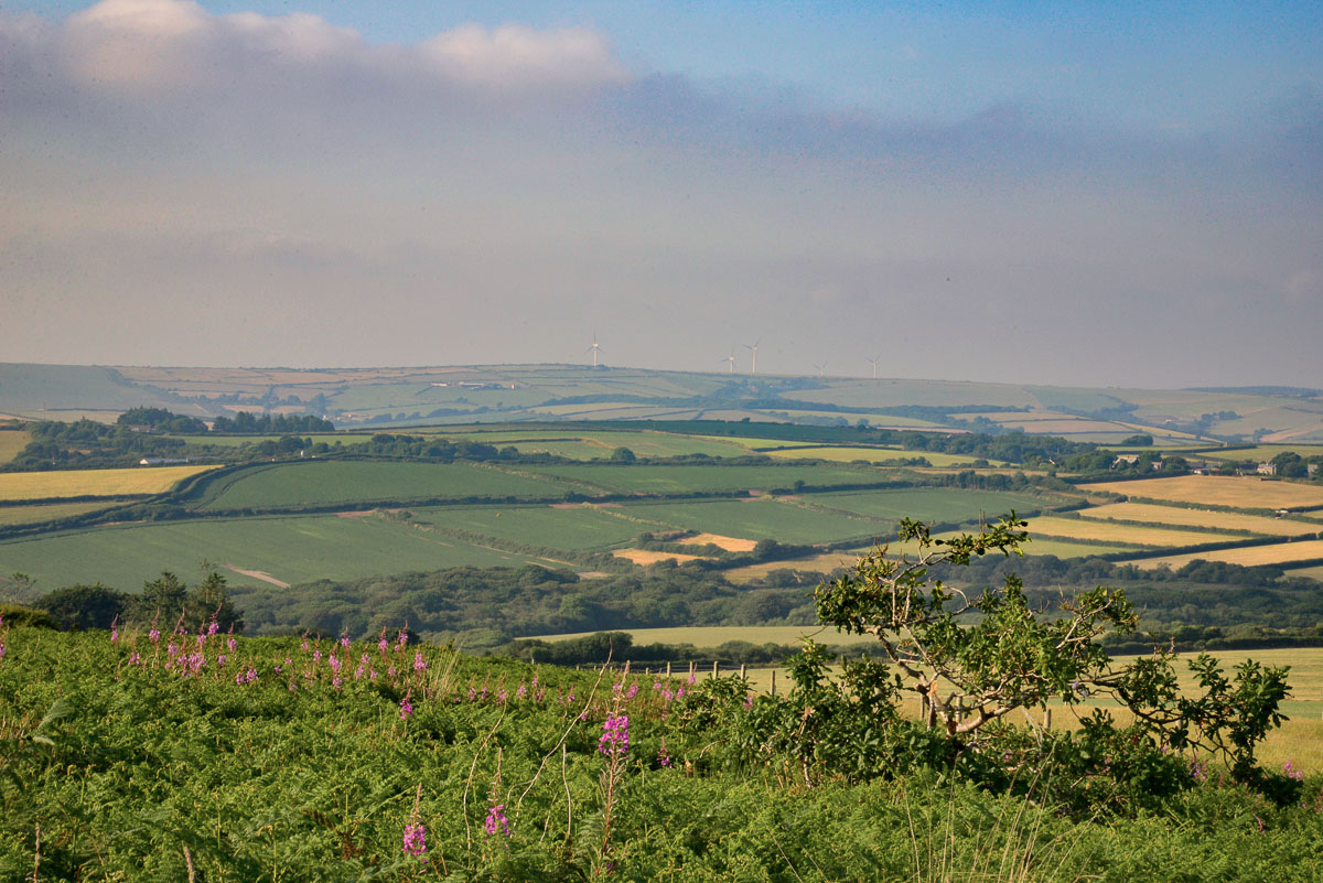 Heritage_Trust's tweet photo. Venturing out and about in your local area?  Why not take a look at the benefits of joining CHT?  Our members can access the English Heritage sites in Cornwall for FREE plus you would be supporting our work at the same time!  Find out more on our website https://t.co/1qrDr2cUNe https://t.co/eCSuMY59Gk
