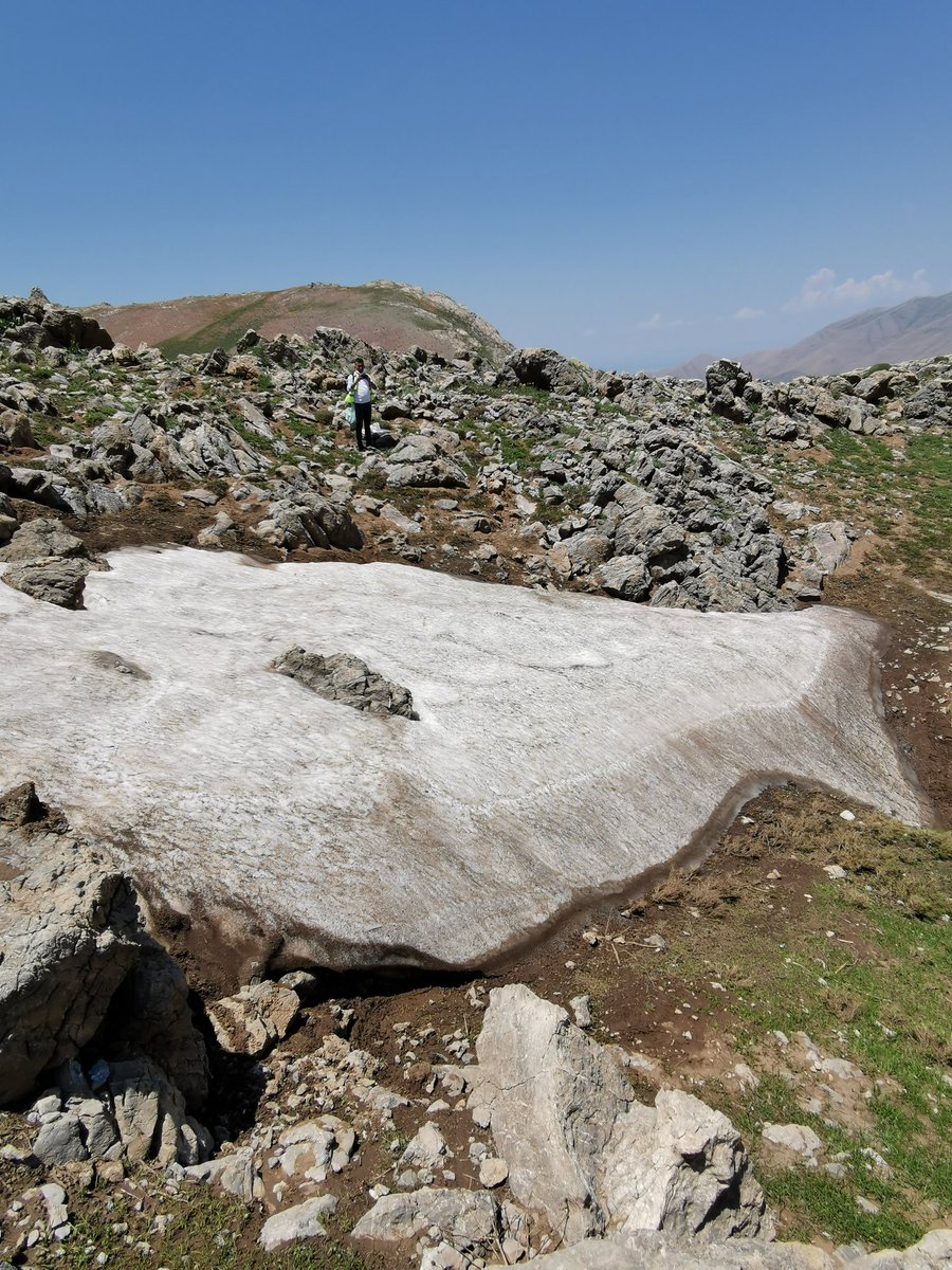 fevziozgokce's tweet photo. Bugün günlerden #Van #GökyüzüneEnYakın #Alpin bölgeler...
#3500m - #4100m
#AlpinBitkiler
#AlpinePlants
#BiyoÇeşitlilik
#biodiversity
#Etnobotanik
#Ethnobotany
#Etnoveteriner https://t.co/RpDAQ8bNnv
