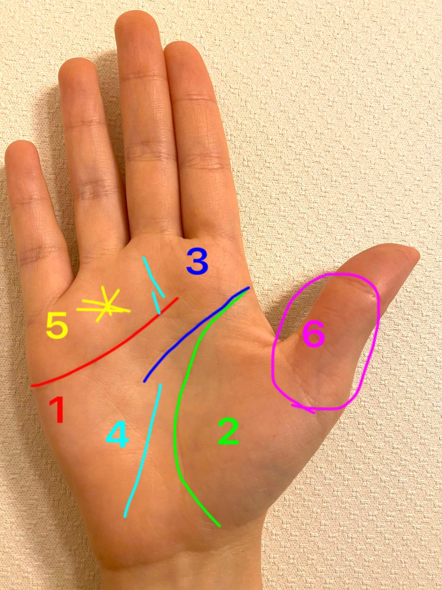 手相占い氏 ナス猫 1日1手相占い生活3日目 この人は親指の第2関節が長すぎーって感じました 親指の第2関節は理性を表す というので理性が発達している 感情的になりにくい 感情をコントロールできる素敵な人 ってご報告したのですが違いました