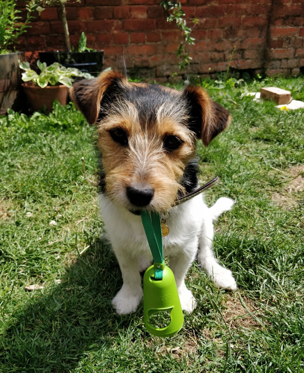 Rachel Baxter tweet media